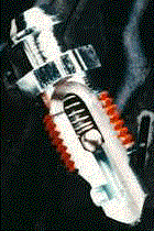 sbani2.gif